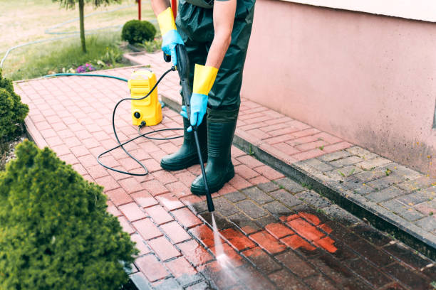 Best Sidewalk and Walkway Cleaning  in Falling Waters, WV
