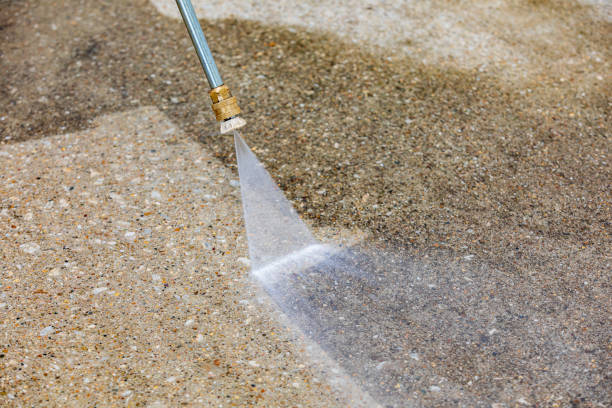 Best House Exterior Washing  in Falling Waters, WV